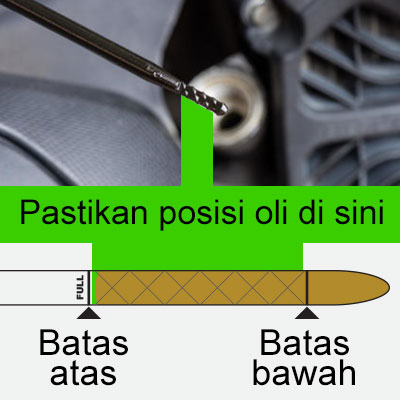 Check oil deep stick